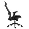 Sillón de oficina ARANJUEZ, alto, negro, ergonómico, multifunción, malla y asiento negro