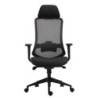 Sillón de oficina ARANJUEZ, alto, negro, ergonómico, multifunción, malla y asiento negro
