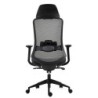 Sillón de oficina ARANJUEZ, alto, negro, ergonómico, multifunción, malla y asiento negro
